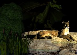 Dragon and Lioness